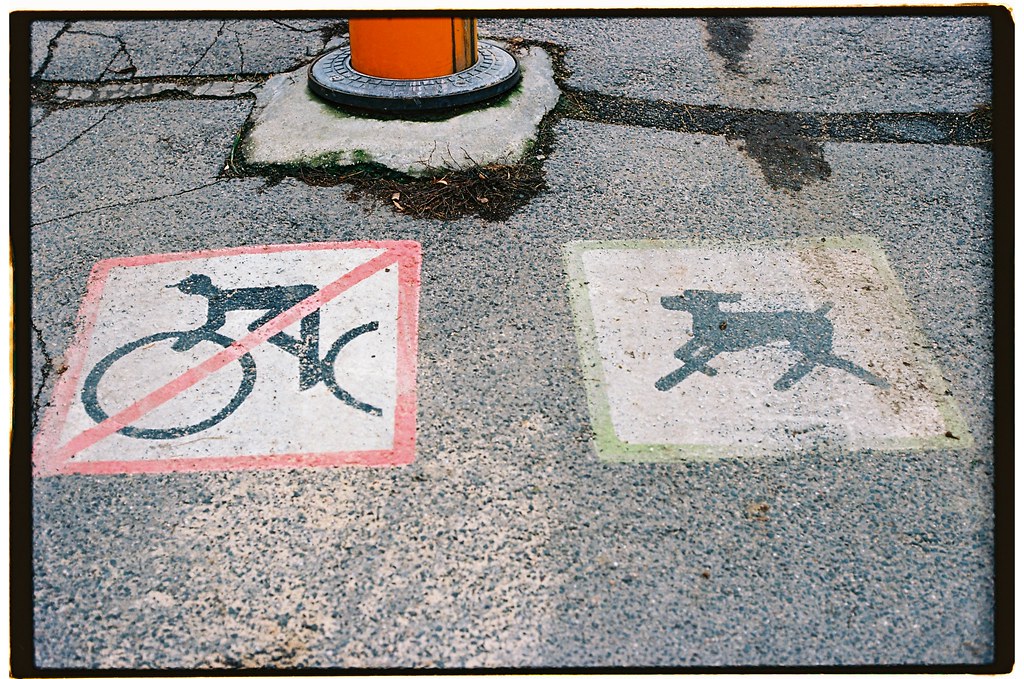No Bicycles, OK Dogs