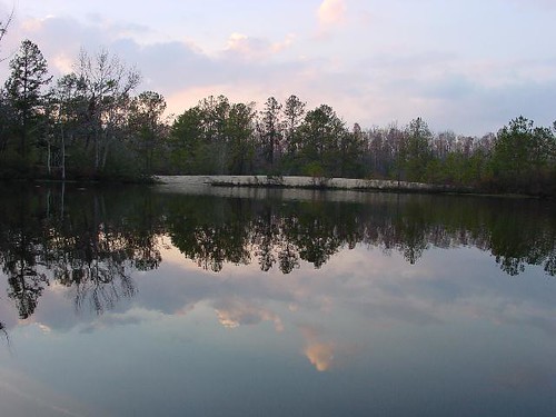 trees sky reflection nature water beautiful clouds landscape outdoors bay louisiana pretty shore inlet stockisland pearlriver gravelpits