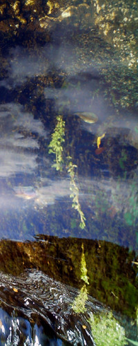 españa rio geotagged spain agua galicia santiagodecompostela nubes reflejo vidrio regato chachicam geo:lat=42887851 geo:lon=8553543 connohara