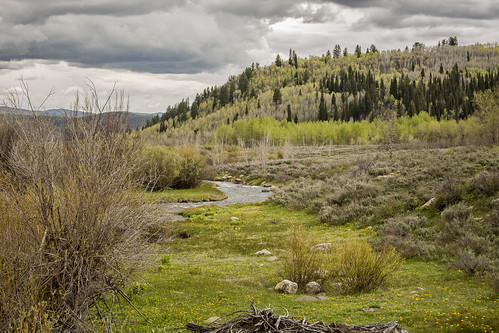 travel nature outdoors landscapes alone quiet cloudy stormy rainy serene streams wildflowers wyoming storms rainclouds stormyweather quietness rainydays cloudformations mountainranges canonphotography wyominglandscapes mountainsettings