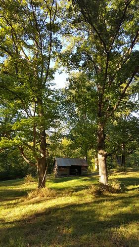 autumn trees fall vertical rural woods fallcolors logcabin missouri backgrounds nophotoshop ozarks tinroof nofilters unenhanced southwestmissouri mobilephotography samsunggalaxys6