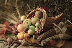 (adj.) abundant

On Thanksgiving Day, people all over America celebrate the bountiful gifts on nature.