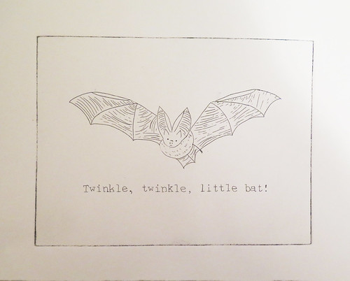 Twinkle, twinkle, little bat!