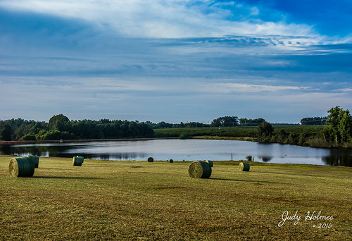 lake sc water sunrise us pond unitedstates farm southcarolina farmland hay haybales trenton hayfields