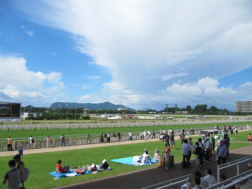 函館競馬場のコースを見下ろす