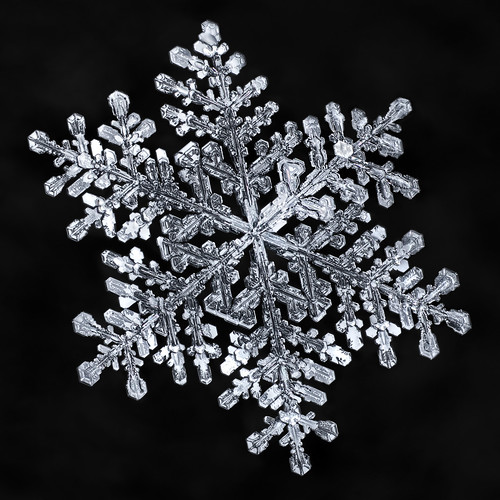 snowflake snow flake ice crystal nature fractal winter macro frozen focusstacking mpe science
