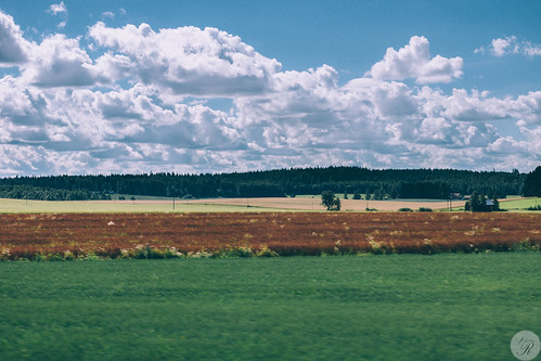 campo paises finland countries finlandia field tavastiapropia paisaje arboles elementos