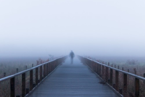 wooden boardwalk burton marshes arty fog foggy wirral cheshire deeside point blur morning mist misty 750d rob pitt photography