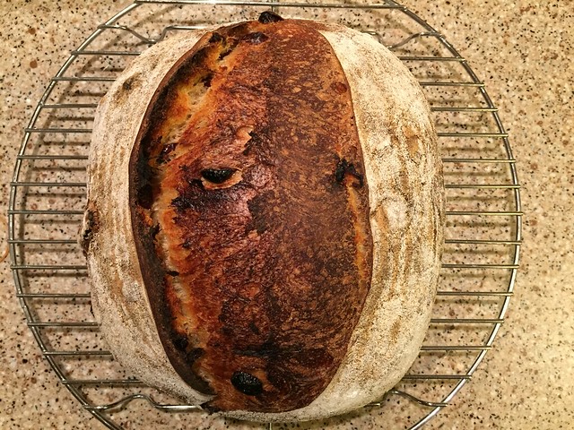 Lagunitas IPA/Cranberry Bread