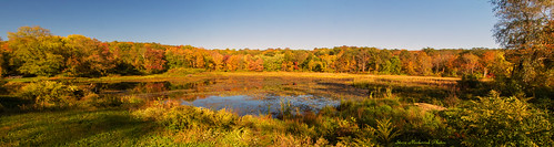 autumn trees panorama lake newyork fall canon pond fallcolors powershot foliage g12 smack53 sterlingforestpark