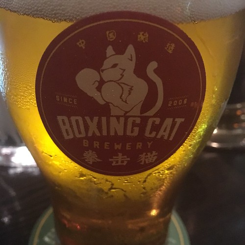 Boxing Cat Beer