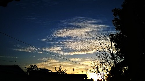 morning trees sky panorama cloud sun abstract art nature weather clouds landscape dawn branch skies afternoon fantasy scifi awan epic apocalyptic outbreak horizons postapocalyptic windowsphone lumia520