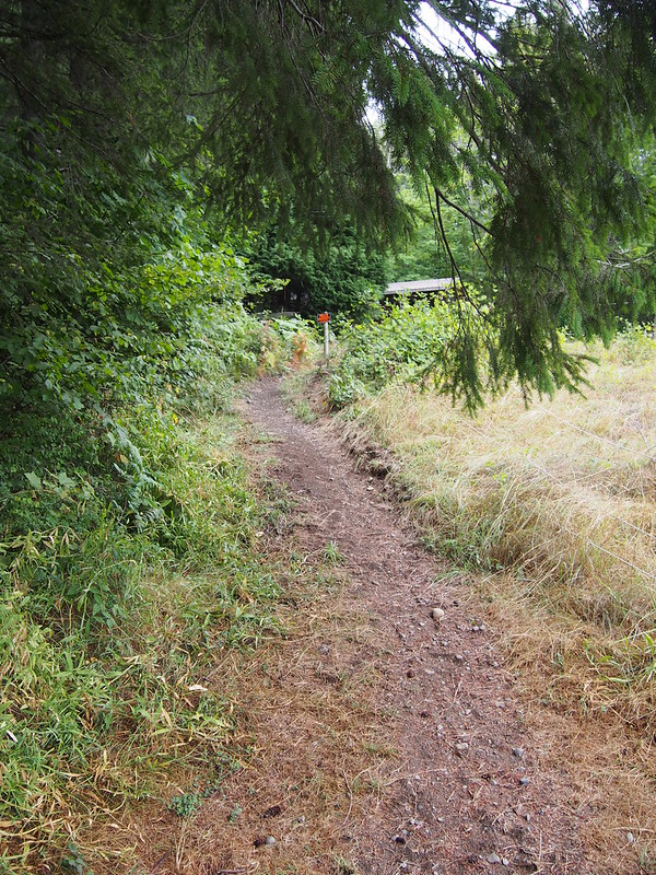 Secret Stub of the Snoqualmie Valley Trail: A little dirt path goes under NE Tokul Rd and follows the old railroad ROW to this point.  There's no continuation from here, unfortunately.
