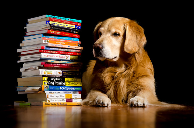 The Well Read Dog