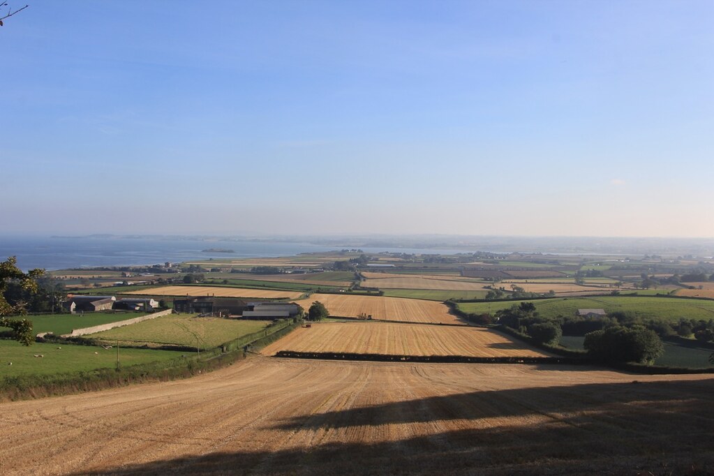 The view from Scrabo Tower
