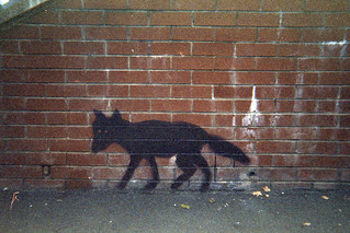 urban fox