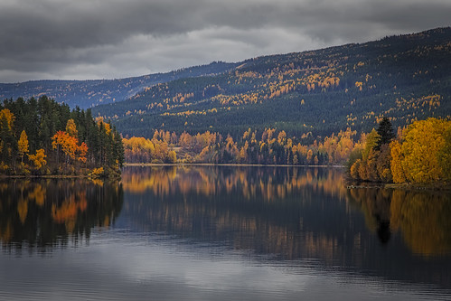 trees mountain lake mountains reflection fall water colors norway clouds forest reflections landscape automn fjord scandinavia 6d randsfjorden ef24105mmf4 canoneos6d hlandersen