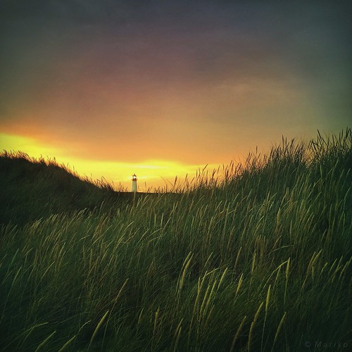 iphone iphone5s iphoneography iphonephotography mobilephotography mobile mariko square lighthouse leuchtturm grass sunrise list ellenbogen listost sylt nordfriesland germany hipstamatic phototoaster mextures picfx