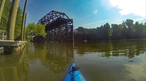 Savannah River Paddling-157