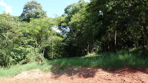 watchtower parquenacionaldoiguaçu iguazunationalpark torredeobservação serranópolisdoiguaçu estradadocolono