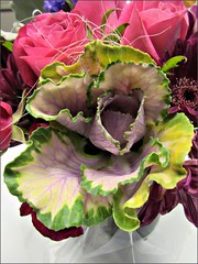 Ornamental cabbage in a bouquet