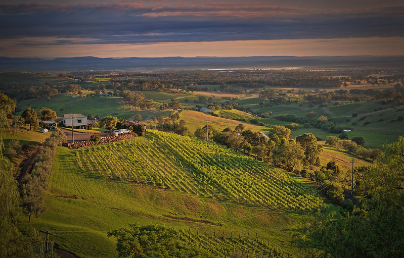 Hunter Valley winery