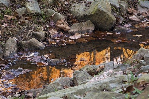 autumn reflection leaves rocks