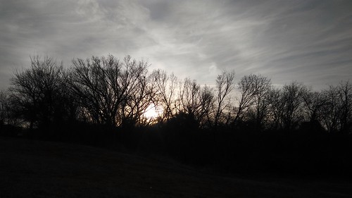 sunrise dawn day cloud clouds tree trees photo photograph photography photographs photos phone digital