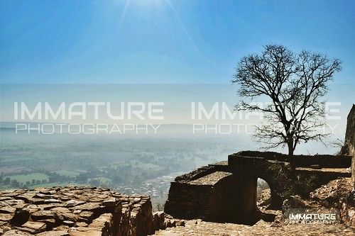 landscape scenic nature tranquility sky blue tree from heritage si immaturephotographyllp