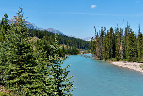 summer canada mountains water river landscape lumix alberta banff bowriver mountainsrocky cans2s fz200
