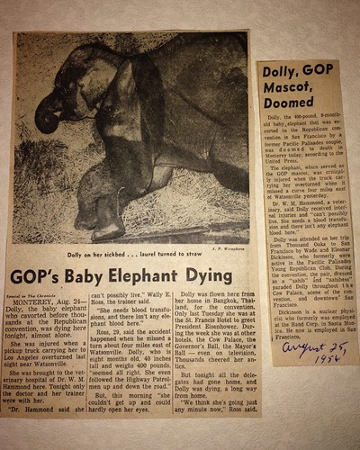 1956 Dolly elephant