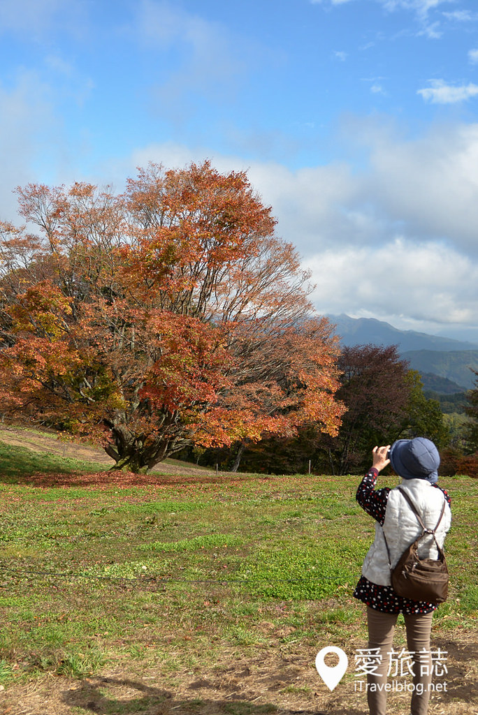 日本长野赏枫景点 大峰高原 26