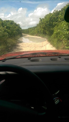 Jungle road take me home