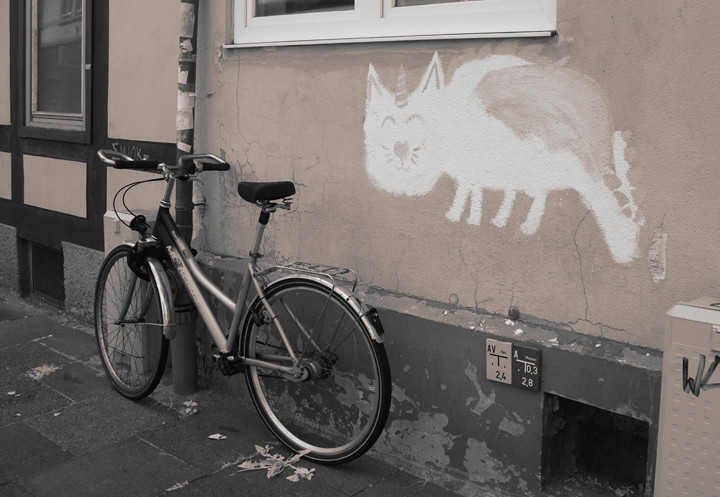 Cat on the Wall, Gottingen, Germany