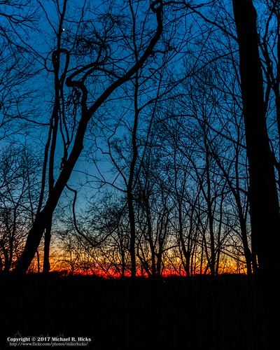 canon7dmkii highlandsofharpethtrace hiking nashville nature percywarnerpark photography sigma18250mmf3563dcmacrooshsm tennessee usa unitedstates winter geotagged outdoors sunset geo:country=unitedstates camera:model=canoneos7dmarkii camera:make=canon geo:location=highlandsofharpethtrace exif:isospeed=1250 geo:city=nashville exif:focallength=18mm geo:state=tennessee exif:aperture=ƒ35 geo:lat=36077221666667 exif:model=canoneos7dmarkii exif:lens=18250mm geo:lon=8688 exif:make=canon