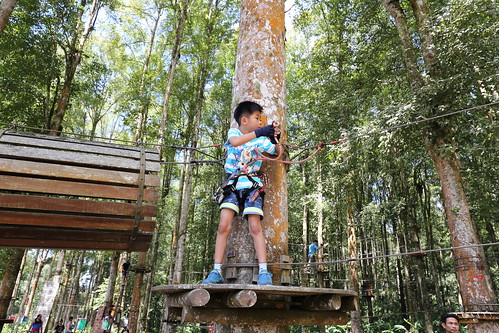 Treetop Adventure Park