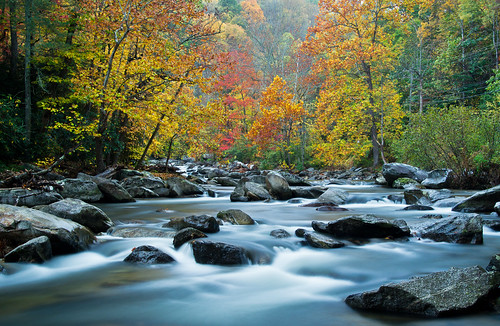 fall colors forest northcarolina waterfalls blueridgeparkway