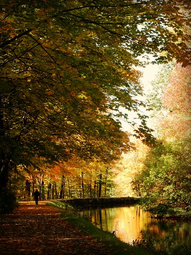 autumn trees water leaves reflections landscapes october foliage quotes feedercanal glensfallsny