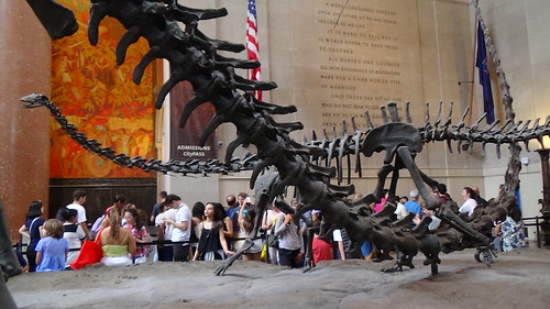 New York Natural History Museum Aug 15 (5)