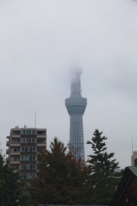 Япония. Дождливая страна хоббитов. 16 осенних дней.