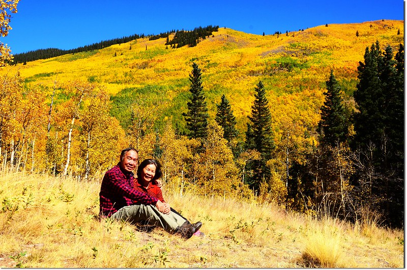 Fall colors at Kenosha Pass, Colorado (37)