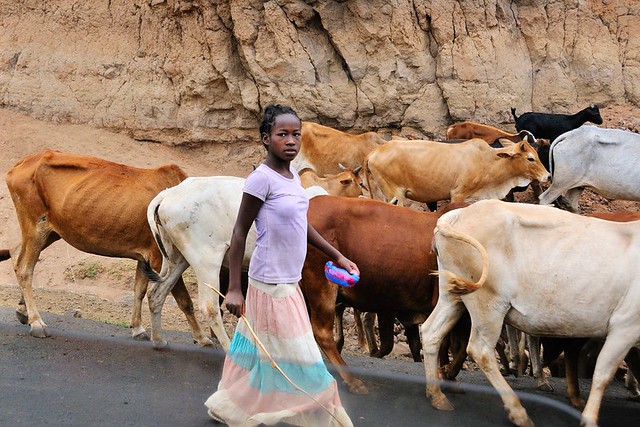 Африканские племена. Ари (Эфиопия). февраль 2014