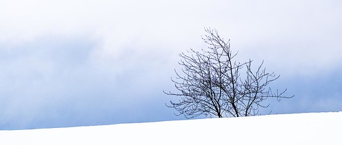somersetpark snow winter landscape minimalistic clouds