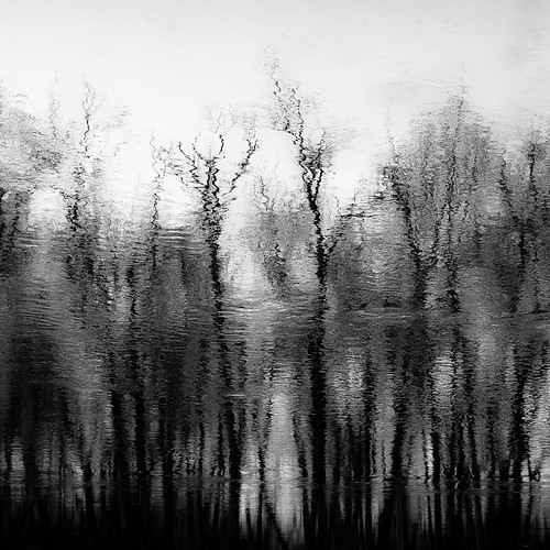 d5000 desplainesriver nikon ryersonwoodsforestpreserve abstract blackwhite blackandwhite blur branches bw forest landscape light monochrome natural noahbw reflection river shadow silhouette square trees water winter woods