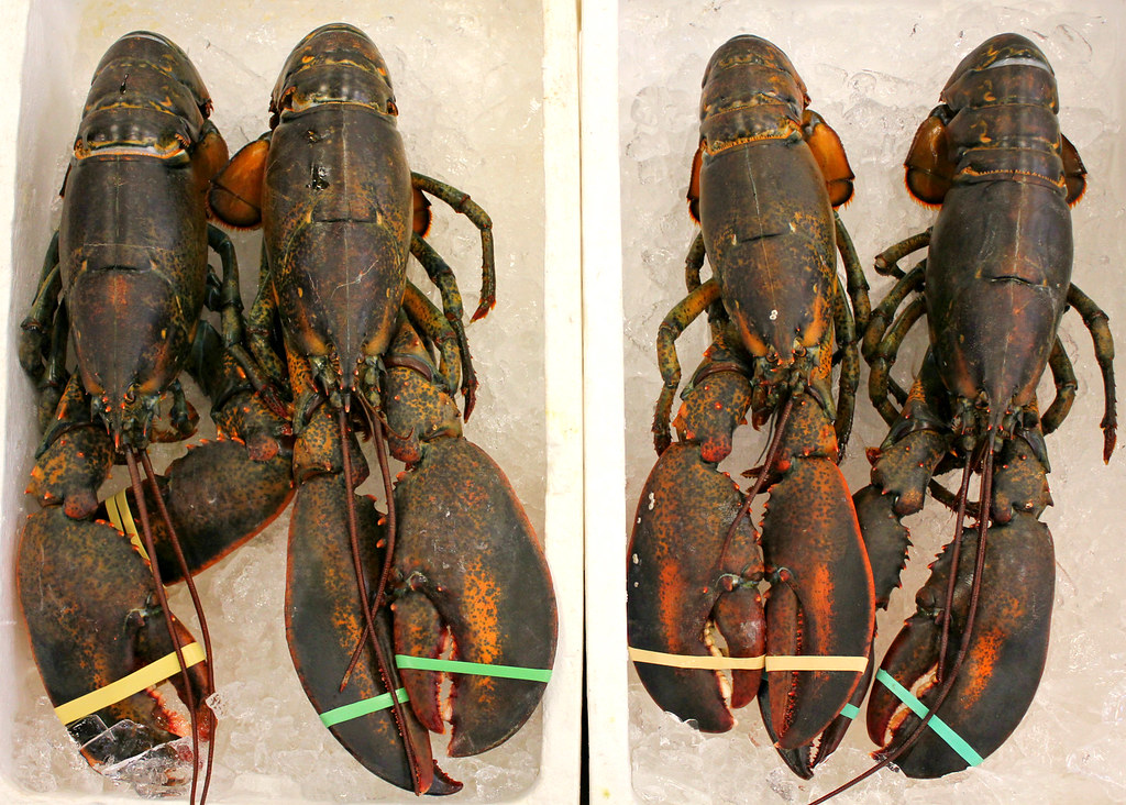 noryangjin-fish-market-lobsters