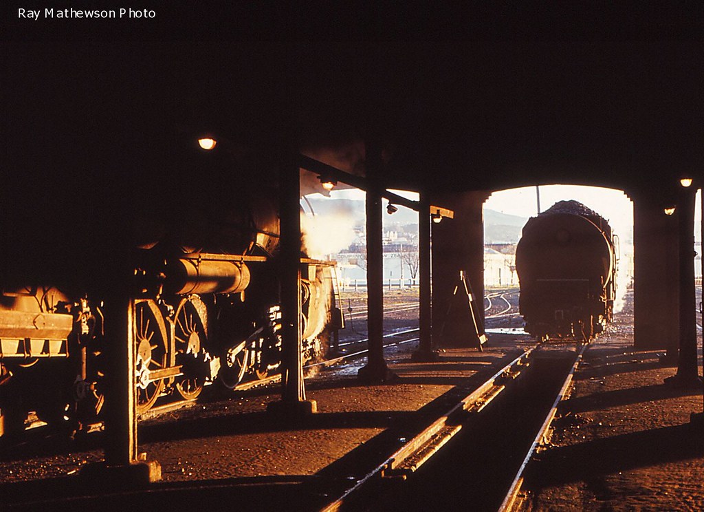 MSL : Dunedin Loco Depot 1968