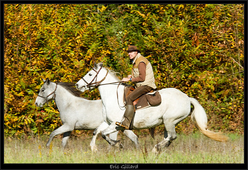 horse cheval weekend chevaux thibaud pixxx lathibaudiere ericgillard