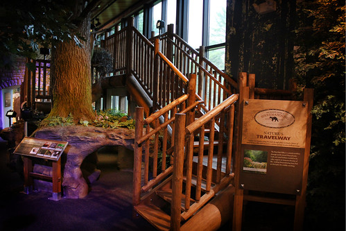 sinnemahoning pennsylvania stairs woodgraphics crawlthrough readerrail rockwork foliage tree overlook railing naturalhistory platform taylorstudios uprightgraphic