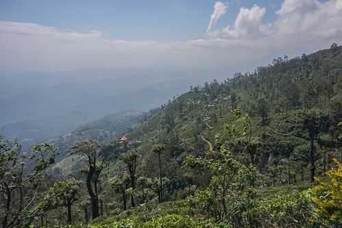 bandarawela liptonseat srilanka mountain teaplantation
