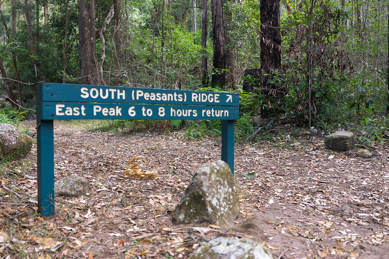 South Ridge Trailhead - Mount Barney National Park